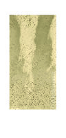 Verzierwachsplatte "geprägt" Gold Ø...